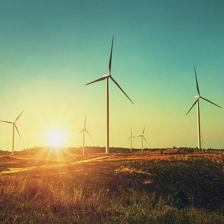 windraeder-bei-sonnenuntergang