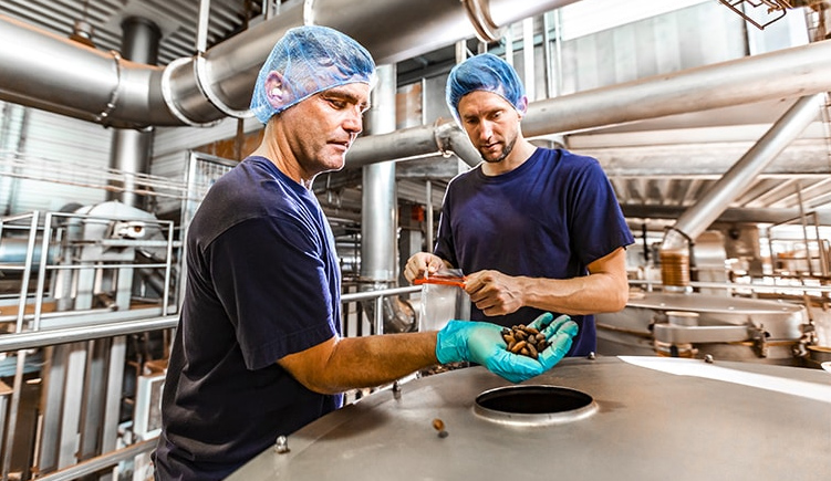 fuch-hoffmann-1990er_klein