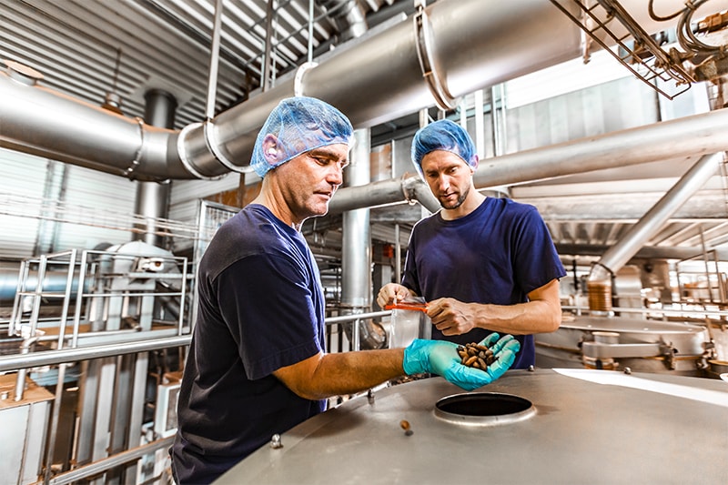 infoseite-toechter-hoffmann