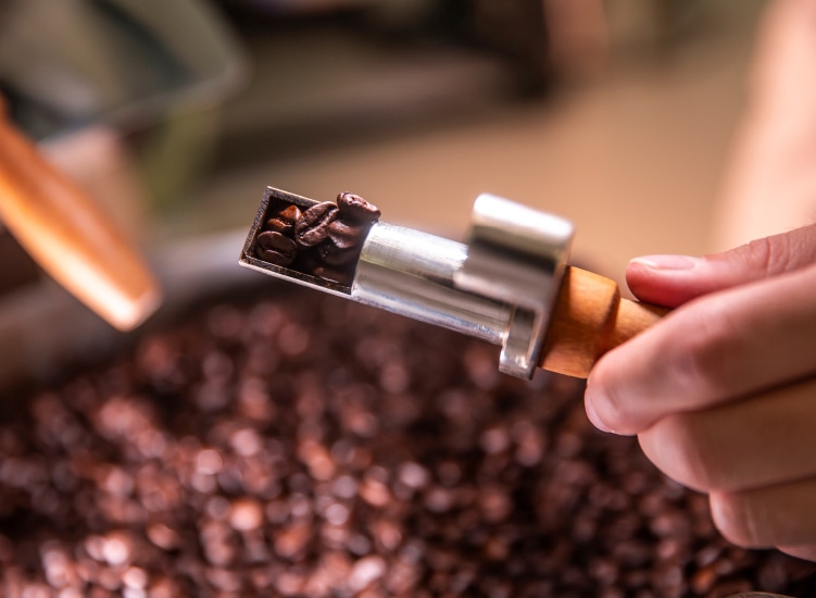 gf-beverages-ganze-bohne