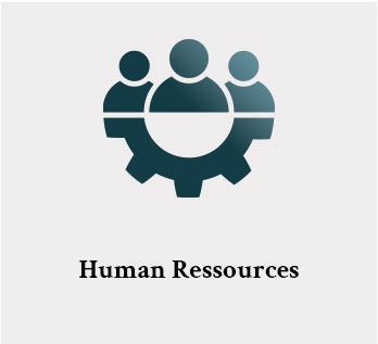 krueger-taetigkeitsbereiche-human-ressources